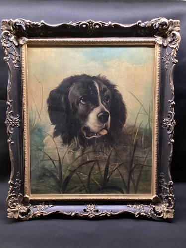 Antique portrait dog - portrait,
