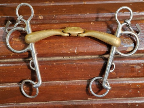 Neue schule turtle - neue,