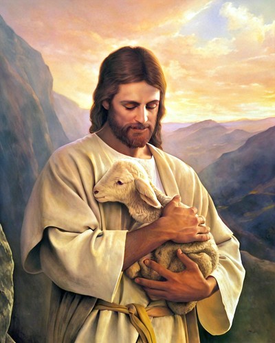 Jesus christ the good shepherd - jesus,