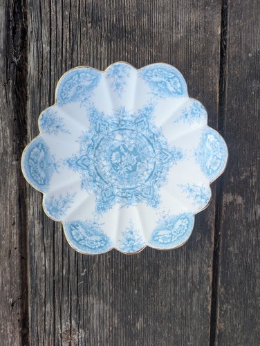 Antique wileman foley saucer - wileman,
