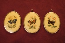 Butterfly cross stitch oval