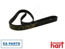 V-Ribbed Belt for CHRYSLER