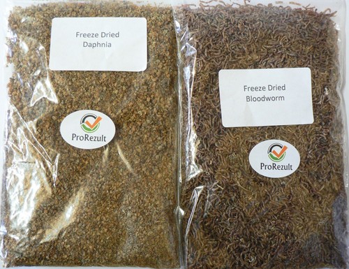 Freeze dried bloodworm and - dried,