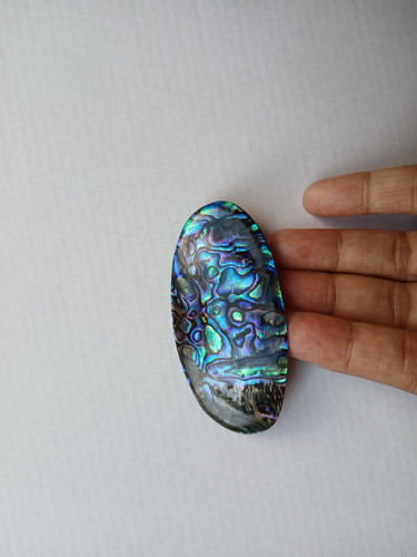 Vtg iridescent nature - vtg, abalone