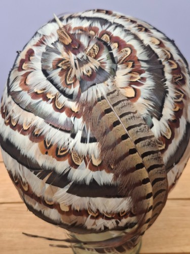 Vintage 1960s feather - feather, hat