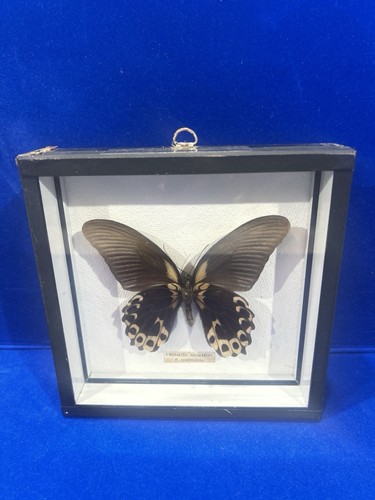 Vintage mounted framed crimson - framed,