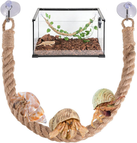 Reptile vines climbing - reptile, climbing,reptile