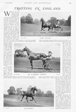 HARNESS RACING Trotting in