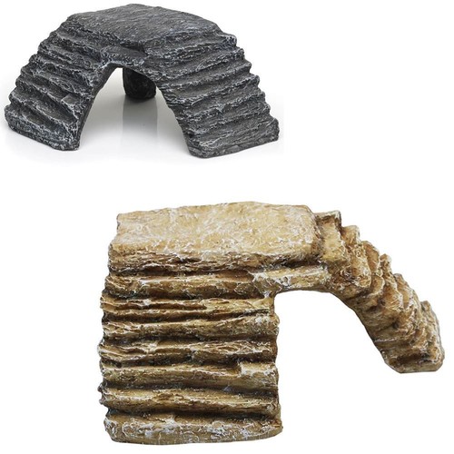 Komodo reptile turtle tortoise - reptile,