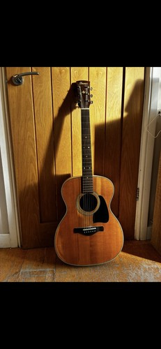 Ibanez artwood vintage avc11 - vintage,