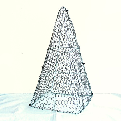 Topiary egyptian pyramid - egyptian,