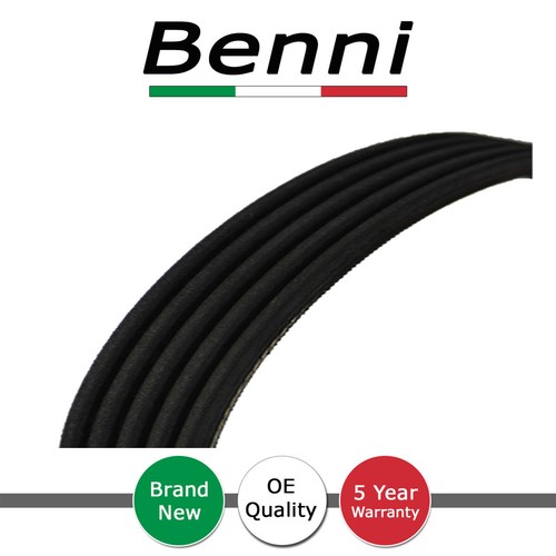 Ribbed drive belt benni fits - benni,
