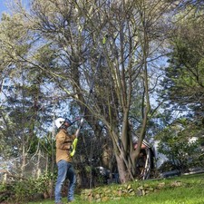 Ryobi 18V ONE+ EZ Reach HP 10” Pole Pruner Attachment - Tool Only