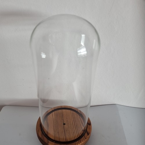 Glass dome display - glass,
