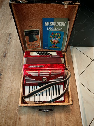 Accordion world champion - accordion,