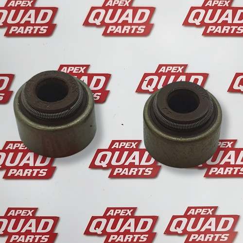 Valve stem seal kit - seal, for