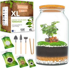 DIY Terrarium Kit XL PYEF