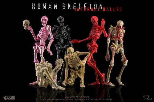 Poseable skeleton skull - 1/12,