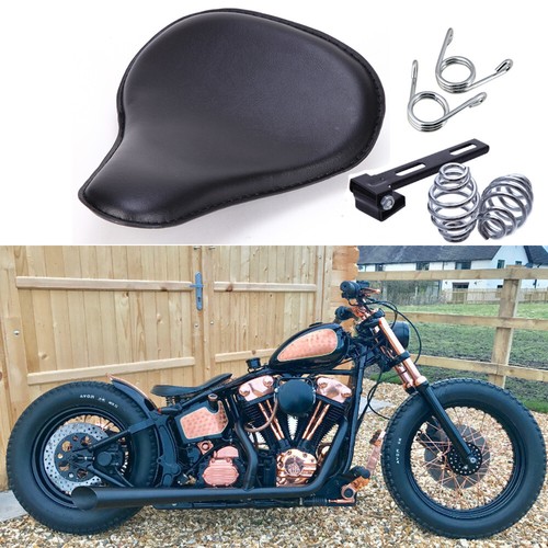 For harley davidson - davidson, softail