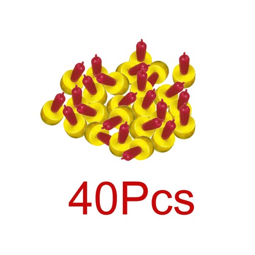 40pcs lamb pet - 40pcs,
