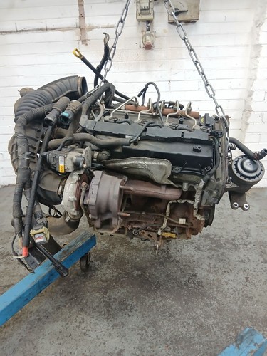 Ford transit custom - ford,