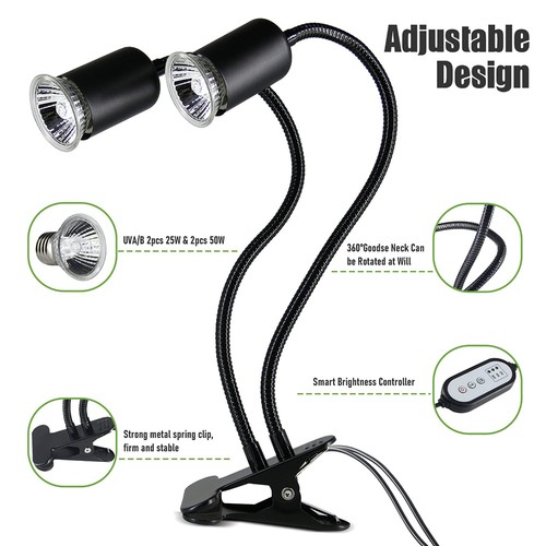 Reptile heat lamp bulbs - reptile,