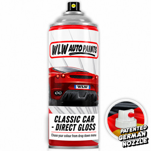 Aerosol spray paint for - paint,