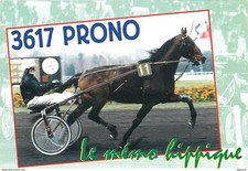 Advertising - The Horse Memo -