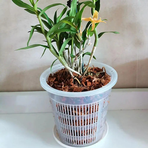 Meshpot clear plastic orchid - meshpot,