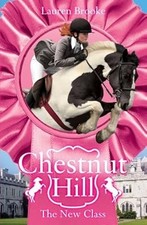 The New Class (Chestnut Hill), Brooke, Lauren, Used; Good Book