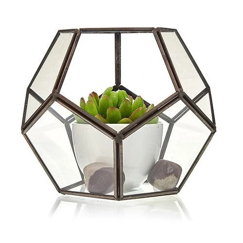 Glass terrarium large - terrarium,