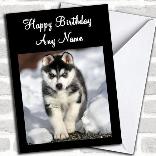 Siberian husky dog - husky,