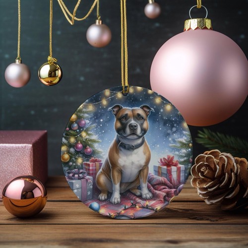 Staffordshire bull terrier - bull,