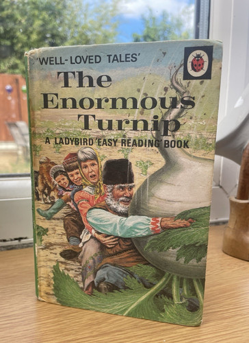 Vintage ladybird book well - vintage,