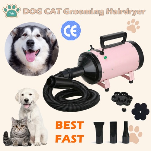 2800w dog cat pet - 2800w,