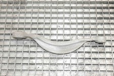 AUDI A7 Sportback 4KA Rear