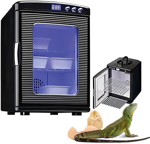 25l reptile egg - reptile,