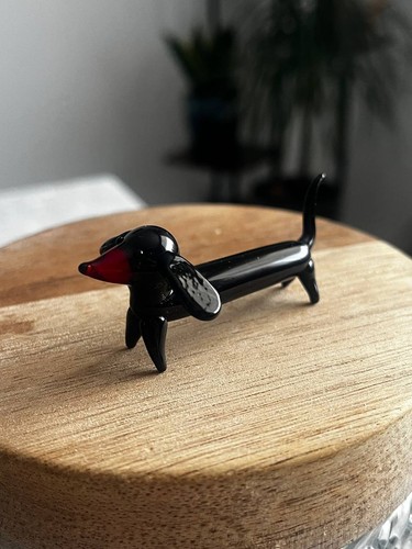 Miniature dachshund dog - miniature,