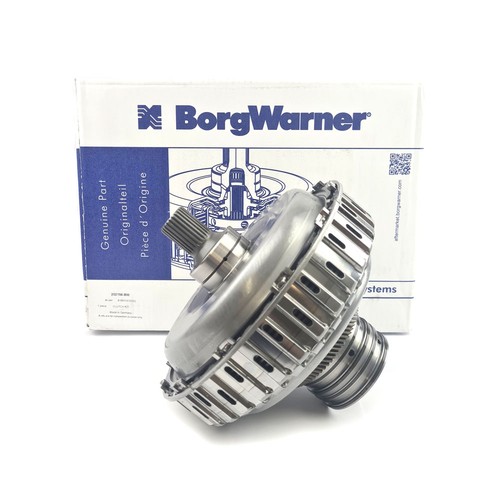 Borgwarner 202156 clutch - 202156,