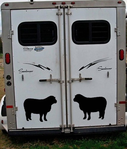 Sheep decals stickers - sheep,