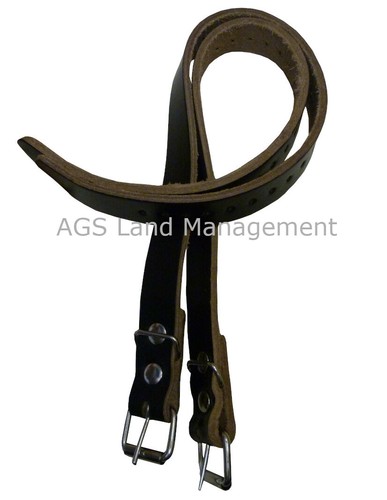 Ags tree surgeons climbing - ags,