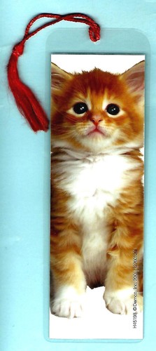 Ginger kitten bookmark orange - kitten,