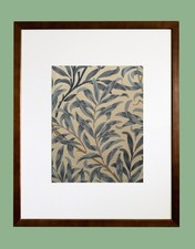 Willow Bough Blue William