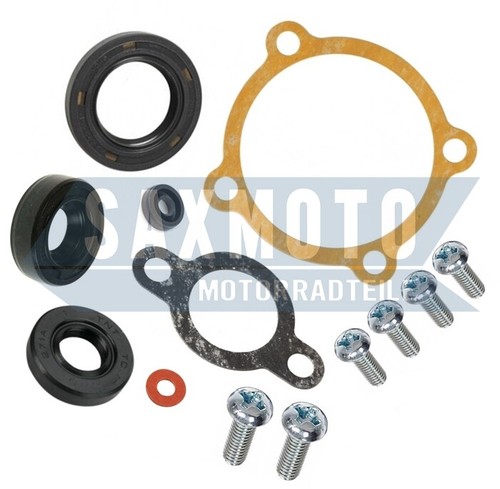 Complete oil pump repair - , kit