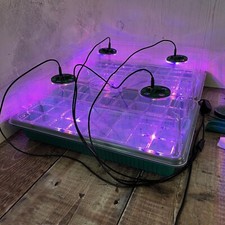 Plant Propagator 40 Cell Seed Tray with Full Spectrum USB Grow Lights -Pack of 2