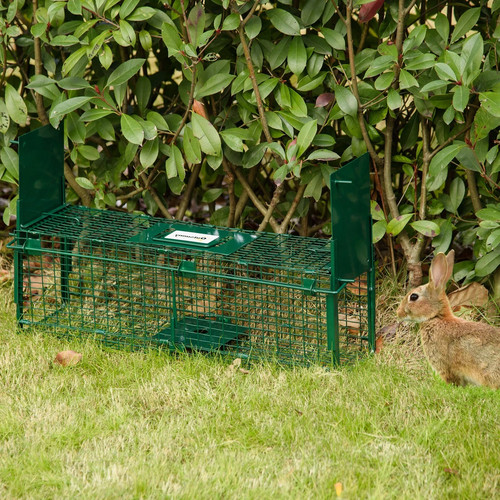 Humane live catch fox - humane,