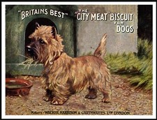CAIRN TERRIER LOVELY VINTAGE STYLE A4 SIZE DOG FOOD ADVERT ART PRINT POSTER