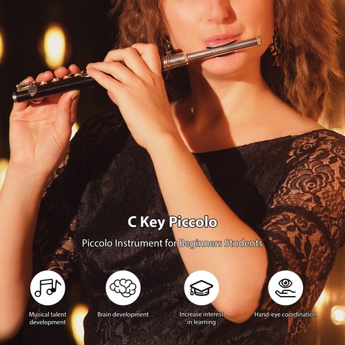 Piccolo instrument abs tubing - instrument,