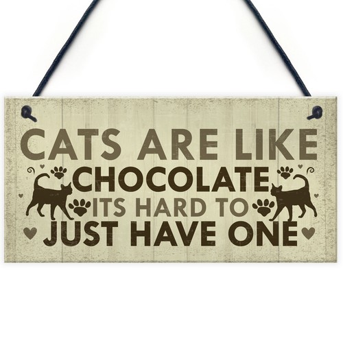 Funny cat sign for home - funny,