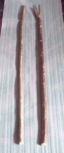 Hazel wood walking stick - wood,
